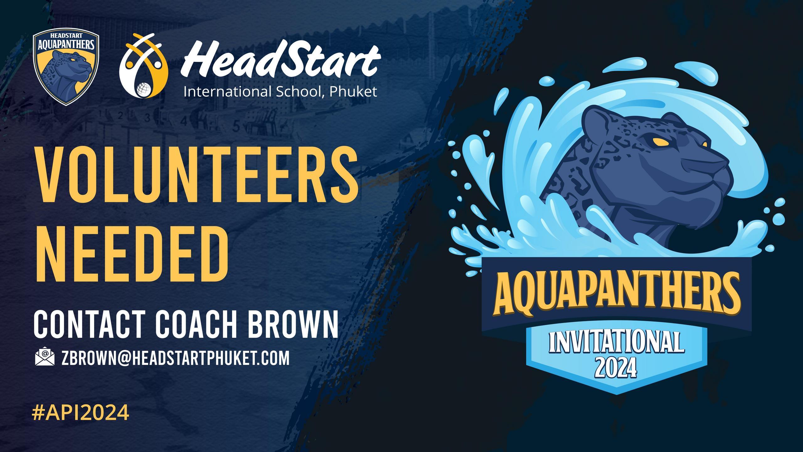 2024 API Volunteer 16x9