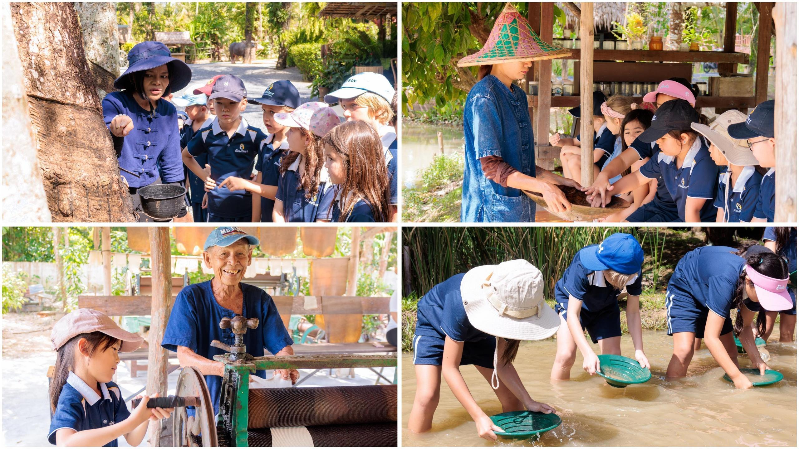 Y3 Old Phuket Farm Gallery 1