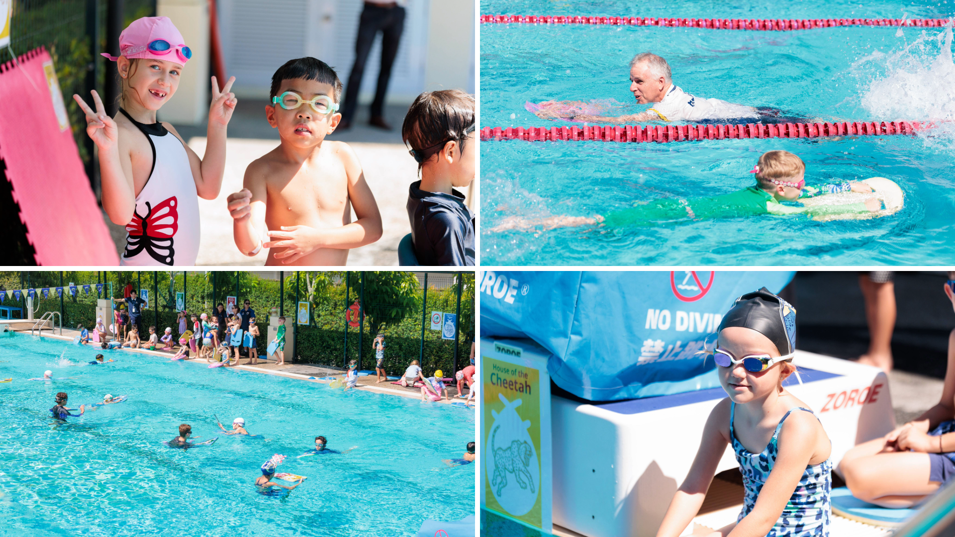 HeadStart Photo Gallery Y2 1